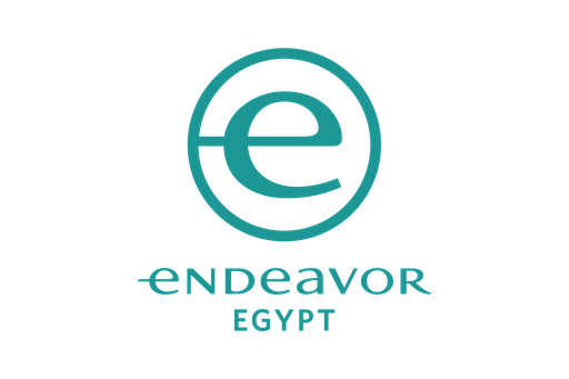 Endeavor Egypt